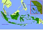 Infos Sumatra 1